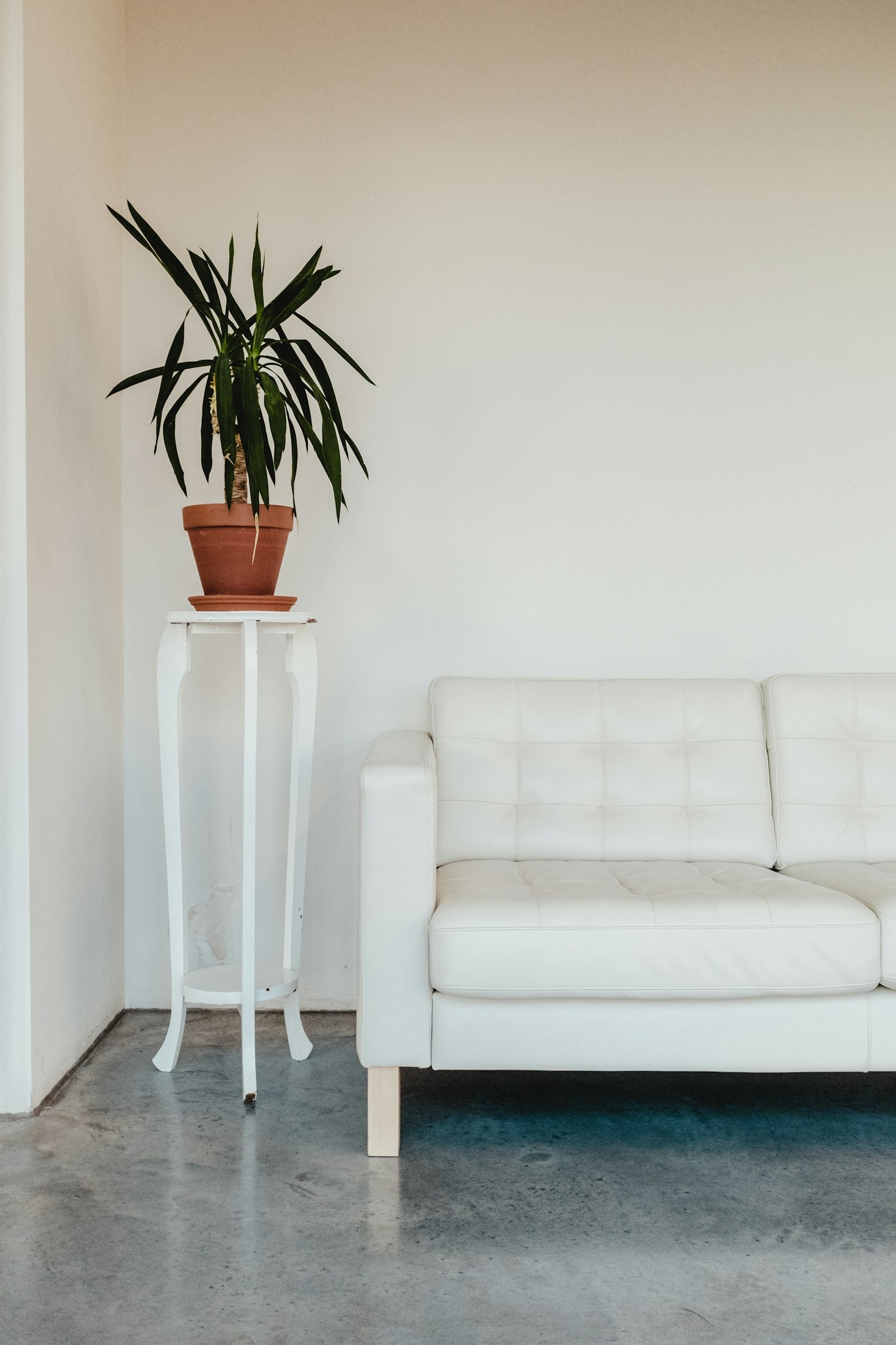 The Perfect Blend of Beauty and Functionality